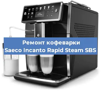 Чистка кофемашины Saeco Incanto Rapid Steam SBS от кофейных масел в Самаре